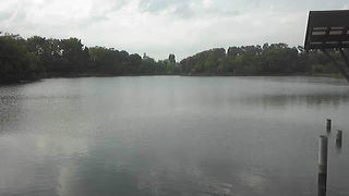 自転車がたくさん