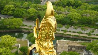 金のしゃちほこ