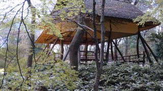 茅葺屋根の東屋