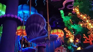 小さなお子さまでも乗れます