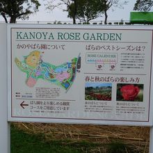 入園料はバラの開花状況により変わります By Morka かのやばら園のクチコミ フォートラベル