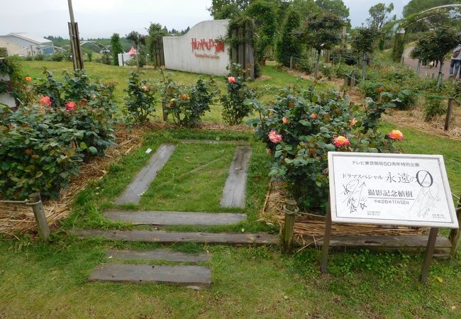 かのやばら園 クチコミ アクセス 営業時間 大隅半島 鹿屋 垂水 志布志 肝属 フォートラベル
