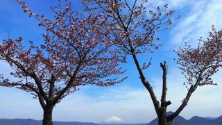 洞爺湖のメインスポットの１つのようです