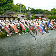 300ものこいのぼりが風に舞う姿は見とれますよ