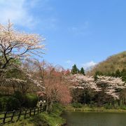 まるで桃源郷の様