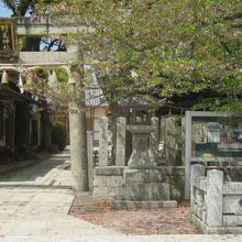 鳥居の様子です。