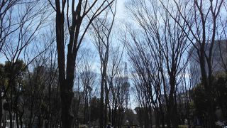 都会のオアシス