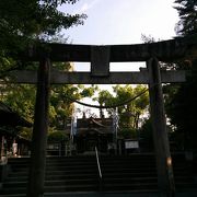 ～★☆日本一大きな鳥居がある神社☆★～