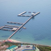 展望台から見た公園