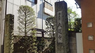 特徴は時に無いが、名前がいいですね。