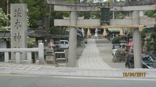 大きな神社です。