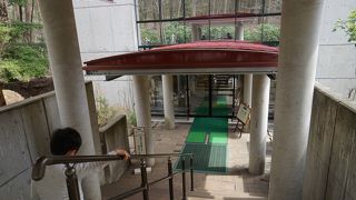 5歳児とアイス狩りへ