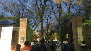 桜だけじゃなかった