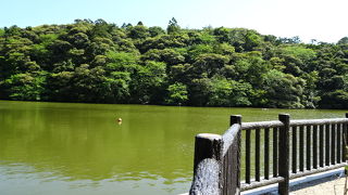大ウナギの生息地