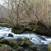石ケ戸の瀬、近くの渓流