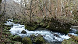 手軽に奥入瀬渓流を楽しむならばここ