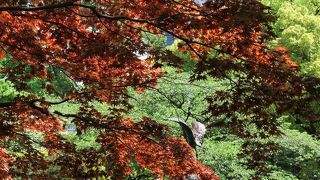 供出を免れた歴史有る噴水