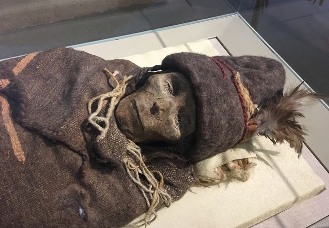 新疆ウイグル自治区博物館　図録（貴重品） 新疆ウイグル自治区博物館 クチコミ・アクセス・営業時間｜烏魯
