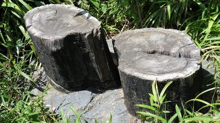 今まで見逃してました