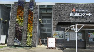 とても広い公園です。花がきれいです。