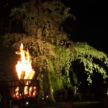 幻想的なかがり火