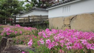 露天風呂で感じる侘び寂びの景色　～　福知山温泉・養老の湯