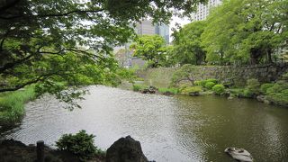 物思いに耽る池です