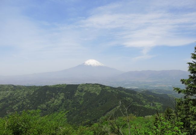 のんびり登り、富士山を愛でる。天気が良ければ最高のハイキングコース