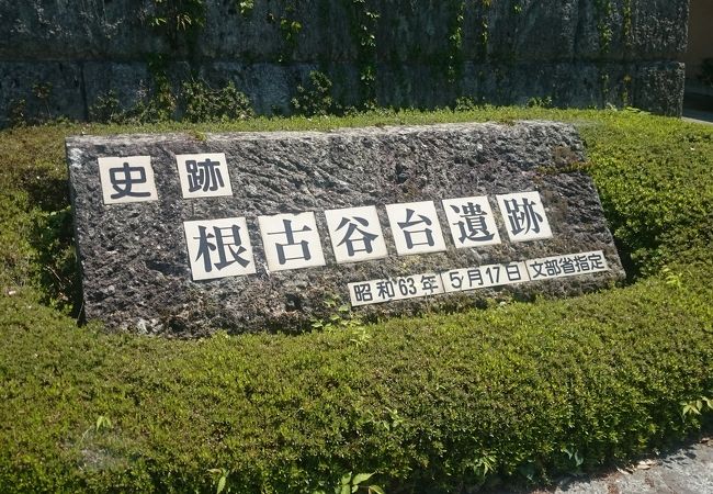 竪穴式住居をゆっくりと見学