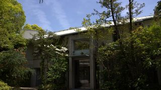 緑いっぱいのお庭を眺めながら