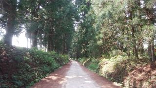 暑い日でもヒンヤリとしています