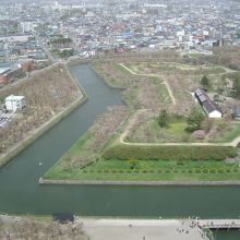 五稜郭タワーからの公園