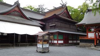 緑豊かな敷地内にあります