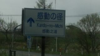 まだ季節は早い。けど