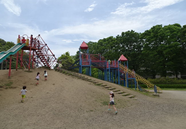 子連れで半日は遊べる