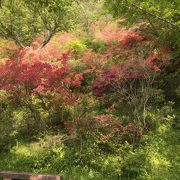 奥久慈県立自然公園矢祭山