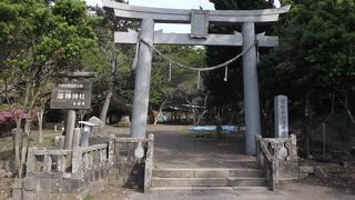 鬱蒼とした原生林に囲まれた対馬一の宮　木坂海神神社