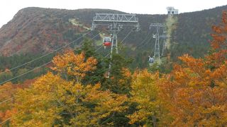 山一面燃えるような紅葉の上空を行く、蔵王ロープウェイ