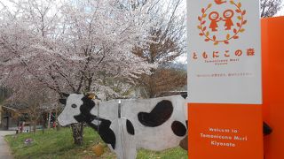 清里産の原料を中心に使用