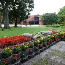 きれいに整備された青葉公園