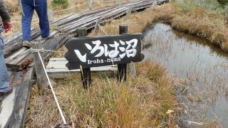 見所満載　「観松平・いろは沼コース」