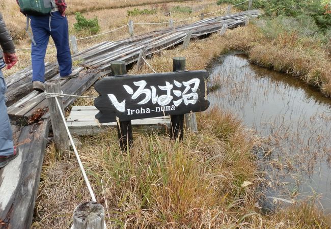 見所満載　「観松平・いろは沼コース」