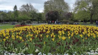 ダブリン中心部にある大きな公園