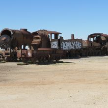 広い敷地内にあります