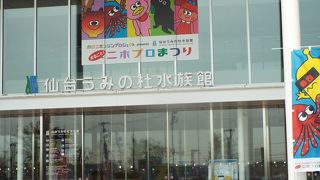 普通の水族館で何かここにしかないというものがないかな