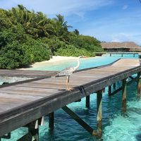 ホテル周辺は珊瑚は死んでしまってますが、綺麗ですよ。