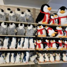 ショップの商品です