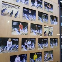 合成写真が作れるようです（別料金）