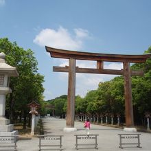 橿原神宮大鳥居