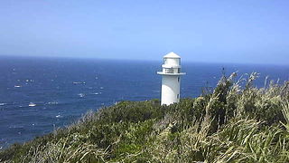 きれいになりました